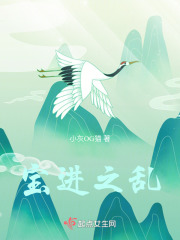 宝进之乱在线阅读