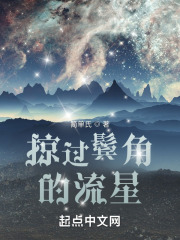 掠过鬓角的流星在线阅读