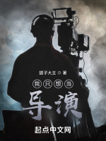 我只想当导演封面