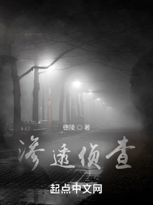 渗透侦查在线阅读