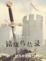 靖康传信录今译