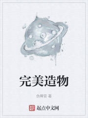 完美造物在线阅读