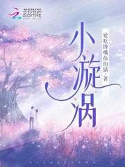 小漩涡在线阅读