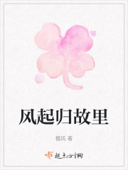 风起归故里在线阅读