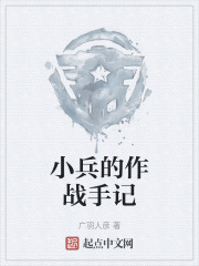小兵的作战手记在线阅读