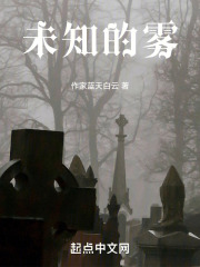 未知的雾在线阅读