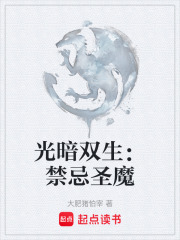 光暗双生：禁忌圣魔在线阅读