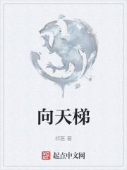 向天梯在线阅读