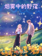 烟雾中的野花在线阅读