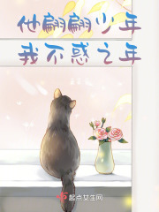 他翩翩少年，我不惑之年