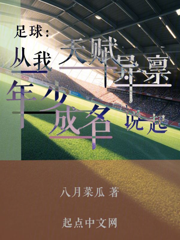 足球：从我天赋异禀年少成名说起在线阅读