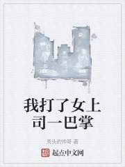 我打了女上司一巴掌在线阅读