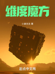 维度魔方在线阅读