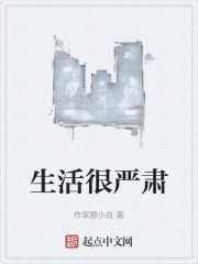 生活很严肃在线阅读