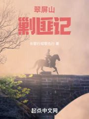 翠屏山剿匪记