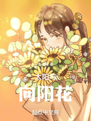 太阳与向阳花在线阅读