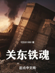 关东铁魂在线阅读