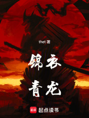 锦衣青龙在线阅读