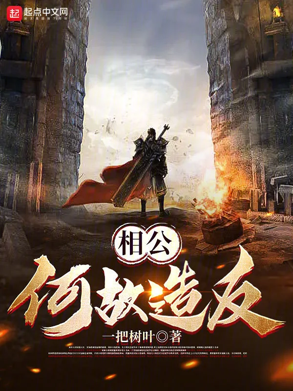 相公何故造反