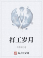 打工岁月在线阅读