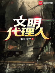 文明代理人在线阅读