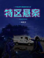 特区悬案在线阅读