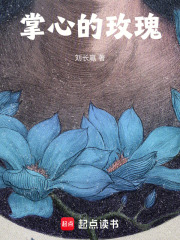 掌心的玫瑰在线阅读