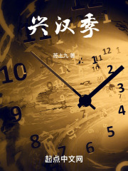 兴汉季在线阅读