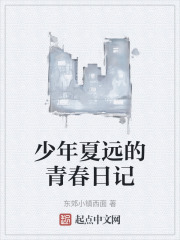 少年夏远的青春日记在线阅读