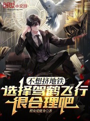 不想挤地铁选择驾鹤飞行很合理吧