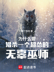 这破巫师不当也罢在线阅读