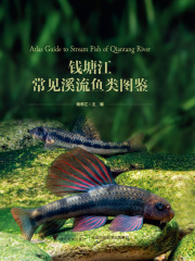钱塘江常见溪流鱼类图鉴