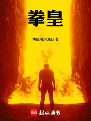 拳皇！在线阅读