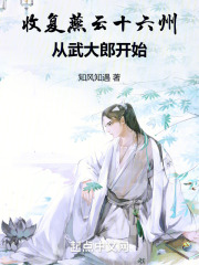 收复燕云十六州从武大郎开始在线阅读
