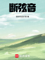 音洲记封面