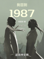 我回到1987封面