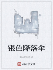 银色降落伞在线阅读