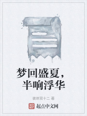 梦回盛夏，半响浮华在线阅读