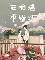 在相遇中错过在线阅读