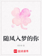 随风入梦的你在线阅读