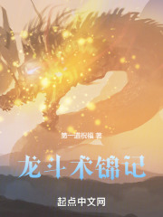 龙斗术锦记在线阅读