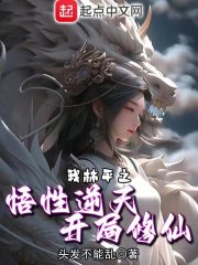 《我林平之，悟性逆天开局修仙》小说在线阅读-起点中文网手机端