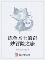 炼金术士的奇妙冒险之旅在线阅读