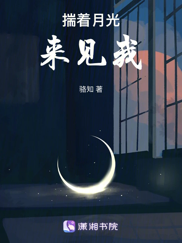揣着月光来见我