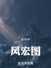 风宏图在线阅读