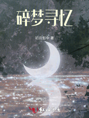 碎梦寻忆在线阅读