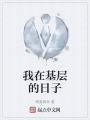我在基层的日子在线阅读