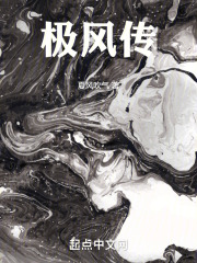 极风传在线阅读