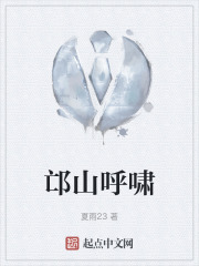 邙山呼啸在线阅读