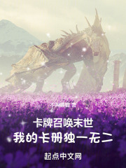 卡牌召唤末世：我的卡册独一无二在线阅读